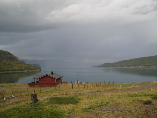Sjursjok 7